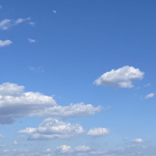 ZIGEN⭐️ちゃんとしたシェービング剤🙂科学的根拠・温泉由来・カミソリ負け・肌の赤み・ヒリつき・RG92・パーフェクトスムースシェービングジェル